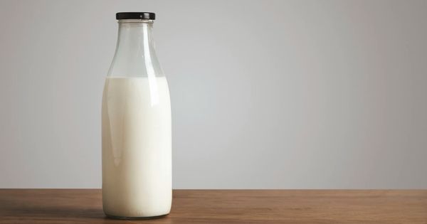 Cari tahu Fakta susu Rendah Lemak yang Bagus untuk Program Diet
