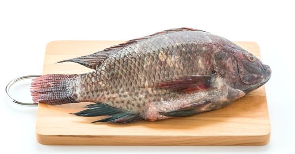 Menu masakan Ikan Nila Lezat yang Harus Anda Coba