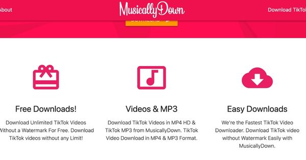 MusicallyDown, Mudahnya Download Lagu MP3 dari TikTok