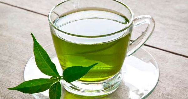 Jenis dan Manfaat Green Tea Bagi Kesehatan